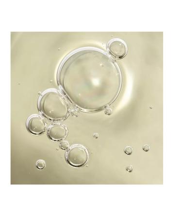 Being Frenshe Glow On Roll-On Fragrance with Essential Oils - Earthy Bergamot Cedar - 0.84 fl oz - Buy Online on GoSupps.com