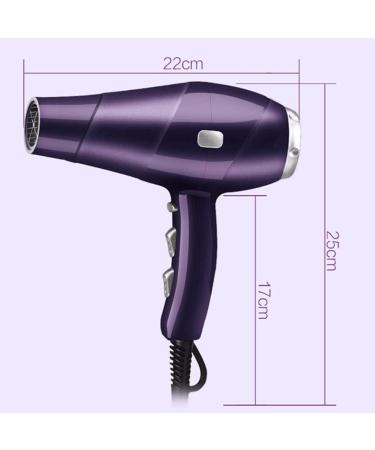 Professional Hair Dryer with Ion-Controlled Hair Dryer Powerful Hair Dryer with Diffuser Purple - Buy Online on GoSupps.com