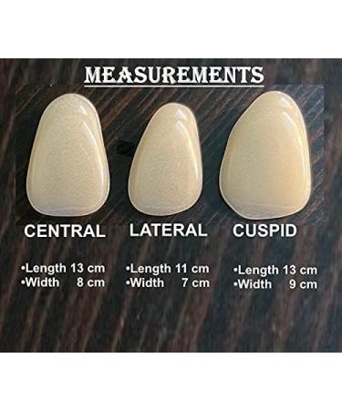 Ultra Thin Tooth Whitening Veneers for Missing or Broken Teeth | Realistic Cosmetically Enhanced Smile | Shade A-2 - Buy Online on GoSupps.com