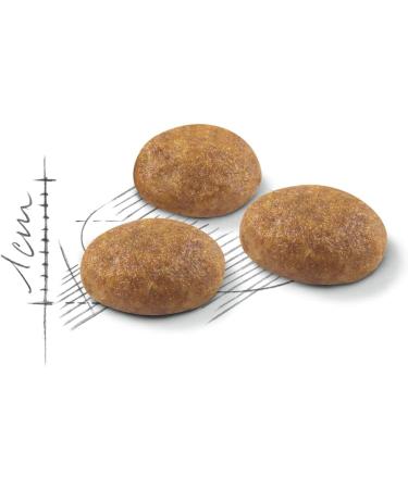 Royal Canin - Royal Canin Outdoor 30 Adult Contents : 4 kg - Buy Online on GoSupps.com