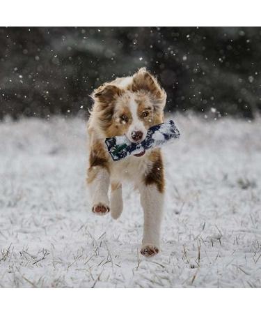 Buy Romneys Standard Dummy 500g Dog Retriever - Durable & Floating Green Toy for Training & Fetch | International Shipping Available - Buy Online on GoSupps.com