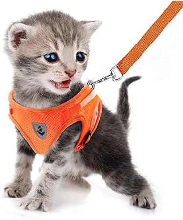 Femax Dog Harness & Linen Set | Soft Mesh Padded Dishes for Puppies & Cats | Reflective & Adjustable Breathable Training Gear (35-40 cm Chest) - Orange - Buy Online on GoSupps.com