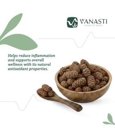 VANASTI Gaj Pipal | Sccindapsus Officinalis | 100 gram - Buy Online on GoSupps.com