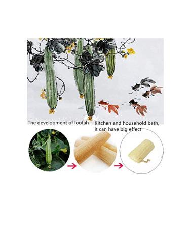 Organic Loofah Exfoliating Bath Scrubber Sponge - Ideal for Bath, Shower, and Spa (1 Pack) - Buy Online on GoSupps.com
