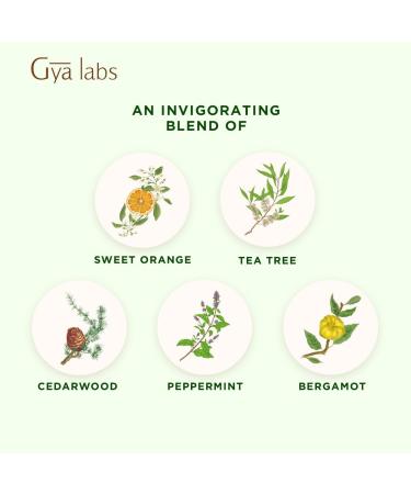 Gya Labs Purify Essential Oil Blend for Diffuser & Skin - Fresh & Cleansing Scent for Aromatherapy Air Freshener (0.34 fl oz) - Buy Online on GoSupps.com