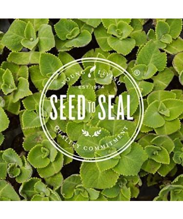 Young Living ComforTone Capsules - Natural Digestive Support with Herbs and Essential Oils - 150 Capsules Provides a Combination of Cascara Sagrada psyllium Seed and Ginger and Tarragon Premium - Buy Online on GoSupps.com