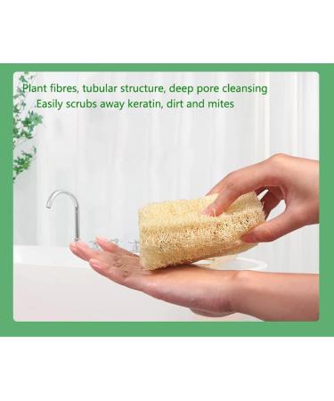 Organic Natural Shower Loofah Sponge Set - Exfoliating Body Scrubber for Deep Cleansing and Unclogging Pores - 3 pcs - Buy Online on GoSupps.com