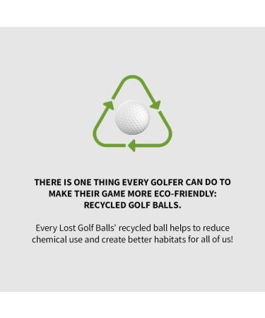 Kirkland Signature Golf Ball Mix - 12 Near Mint Quality Used Golf Balls - White - 3-Piece and 4-Piece Golfballs - Pack of 12 - Buy Online on GoSupps.com