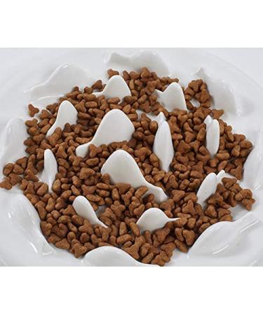 Lorde Ceramic Slow Feeder Cat Bowl - Interactive Bloat Stop Puzzle for Healthy Eating | Dog & Pet Slow Feeding Bowl - Buy Online on GoSupps.com