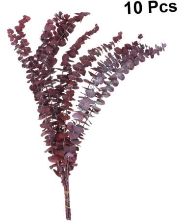 Cabilock Dried Eucalyptus Stems 10pcs Christmas Flower Arrangement Real Eucalyptus Leaves As Shown Size 3 - Buy Online on GoSupps.com