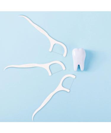 600PCS Dental Floss Sticks with Toothpick Holder - Y-Form Interdental Flossers for Effective Dental Care | Disposable Tooth Cleaner Sticks (12 Pack) - Buy Online on GoSupps.com