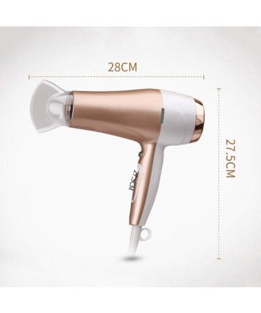 Hair Dryer Nano Ionic Blow Dryer Professional Salon Hair Blow Dryer Lightweight Fast Dry Low Noise - Buy Online on GoSupps.com