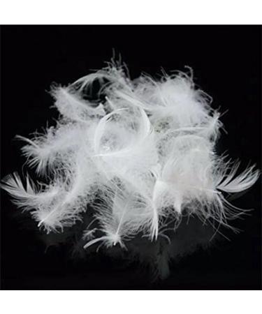 ROSE FEATHER Bulk Goose Down 4lb - Hypoallergenic Pillow Filling for Repair & Restuff - Ideal for Couch Cushions, Comforters, Jackets - Premium White Goose Down Stuffing 5/95 Ratio - 1800g DIY Fill - Buy Online on GoSupps.com