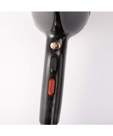 Hair Dryer Professional Hair Dryer 1800W Powerful Fast Blow Dryer Quick Drying with Concentrator 2 Speed 3 Heat Settings Cool Shot Button Fast Drying Time and Low Nois Lightweight for Travel Small - Buy Online on GoSupps.com