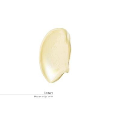 Aesop Geranium Leaf Body Balm 500mL/16.67oz | Paraben-Free, Cruelty-Free & Vegan | 16.67 Fl Oz - Buy Online on GoSupps.com