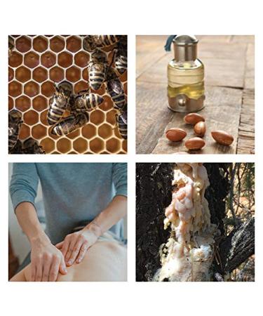 Shop Jenny Joy's Pinon Pine Salve & Soap (4 oz) - Natural Healing & Moisturizing Worldwide Shipping Available - Buy Online on GoSupps.com