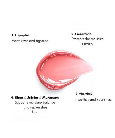 Lip Balm Lip Care Gloss Lip Balm - Peach Nourishing Moisturizing - Peptides Ceramide Vitamin E Vegan 13 ml - Buy Online on GoSupps.com