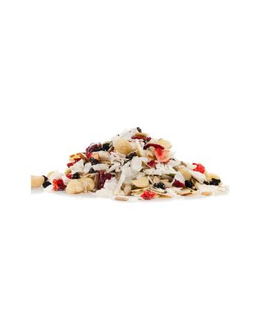 Bob's Red Mill Paleo Muesli  14-ounce - Buy Online on GoSupps.com
