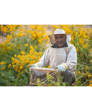 Moroccan Thyme Honey | Powerful Flavor & Beneficial Properties. 300g Jar - Buy Online on GoSupps.com