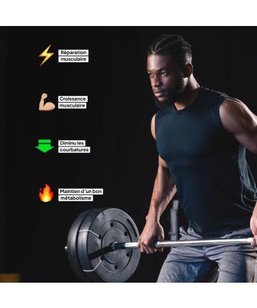 ISO WHEY ZERO | 85% Protein | Micro-Cold Filtered | Rich in Amino Acids | Sugar Free | Bodybuilding & Dry | Team Nutrition - French Brand (Cookie & Cream 2000g) - Buy Online on GoSupps.com