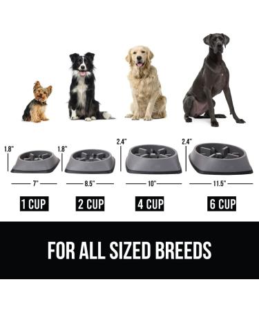 Slip Resistant Slow Feeder Dog Bowl | Improve Pet Digestion | Prevent Overeating | 2 Cup Gray - Buy Online on GoSupps.com