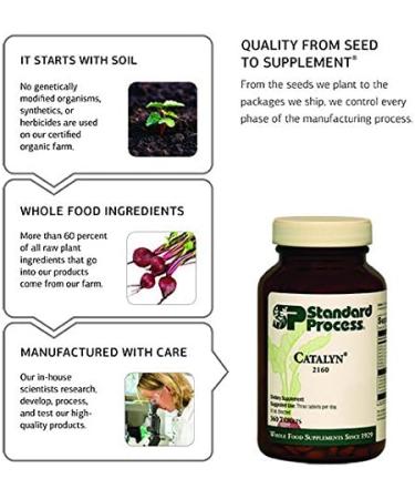 Standard Process Betaine Hydrochloride - Gluten Free Digestive Supplement - 180 Tablets - Buy Online on GoSupps.com