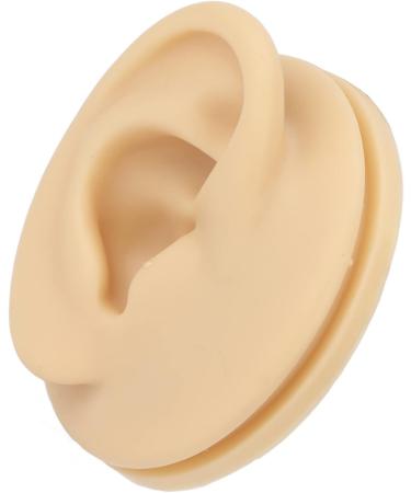 Human Right Ear Model Human Ear Model Clear Internal External Structure Soft Silicone Waterproof for Ear Learning for Suppliers - Buy Online on GoSupps.com