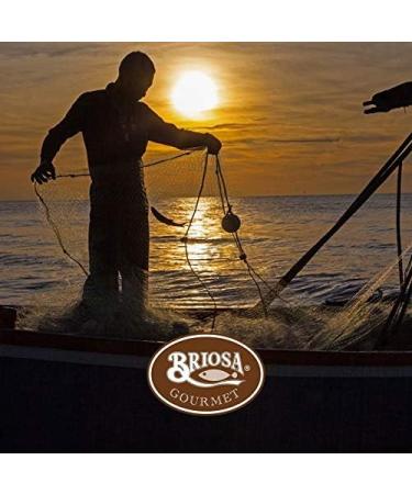 Codfish P t 4 tins x 75 g Briosa Gourmet/Portugal - Buy Online on GoSupps.com