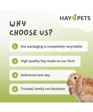 Hay4Pets Meadow Hay - 12.6kg. Fresh Green Feeding Hay For Rabbit Guinea Pig Hamster & Small Animals. High Fibre Natural Food For Pets. Dried Grass Animal Feed 12.6 kg (Pack of 1) - Buy Online on GoSupps.com