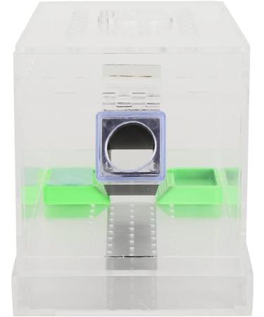 Cricket Keeper and Sturdy Cricket Keeper with Tubes for Home for Office (Small Size) - Buy Online on GoSupps.com