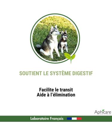 APHICARE - Intestinal hygiene - Intestinal comfort - 20 capsules - Brewer's yeast - 3 plant extracts - Food supplement - Dog and puppy - Made in France - Buy Online on GoSupps.com