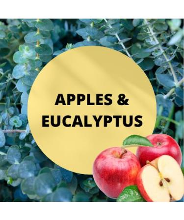 Black Canyon Apples & Eucalyptus Scented Body Spray with Jojoba Oil 1 Gal (2 Pack) - Buy Online on GoSupps.com