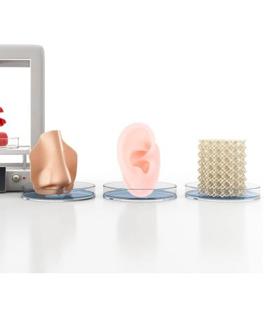 iplusmile Soft Silicone Human Ear Model - Right Ear for Hearing Aids, Earrings & Education - Flesh Color - Buy Online on GoSupps.com