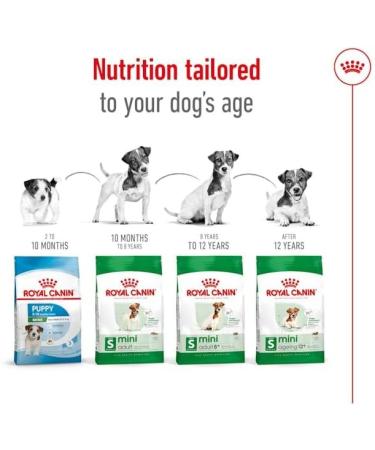 Royal Canin Mini Adult 8+ | 2 kg | Complete Food for Small Breed Dogs (up to 10 kg) in the Second Half of Their Life | From 8 Years Old | Can Help Support Vitality - Buy Online on GoSupps.com