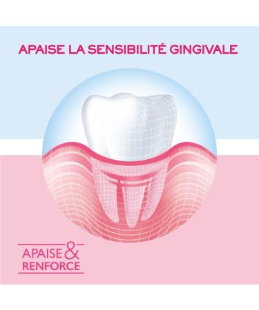 Sanogyl Toothpaste Soothes and Strengthens Gums 75 ml - Buy Online on GoSupps.com