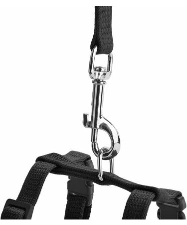 Yutou Soft Cat Dishes & Adjustable Leash Set - Outbreak-Proof Harness for Kittens Puppies & Rabbits - Buy Online on GoSupps.com