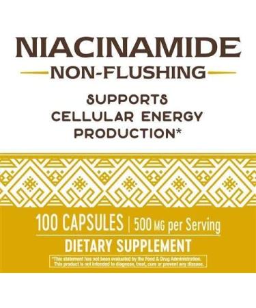 Nature's Way Niacinamide 500mg - Pack of 3 | Triple Pack for Skin Health and Wellness - Buy Online on GoSupps.com