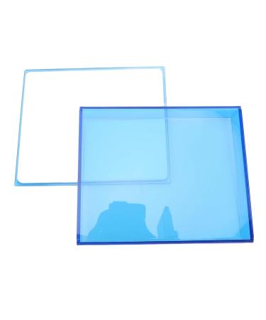 Buy Transparent Blue False Eyelashes Storage Box - Convenient Grafting Eyelashes Pallet for Home & Beauty Salon - Buy Online on GoSupps.com