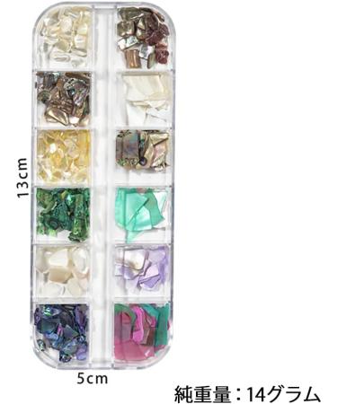 Zayoooy 2 Boxes 3D Nail Art Sea Shell Sequins & Mussel Discs for DIY Nail Decoration - Buy Online on GoSupps.com