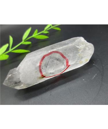 Rare! Natural Clear Quartz Channel with Water Bladder Reiki Fengshui Crystal Minerals Stones - Buy Online on GoSupps.com
