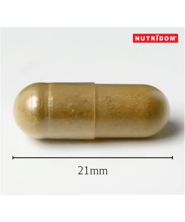Nutridom Dandelion Root Capsules | 10 000mg Per Day | 10x Extra Strength Traditional Herbal Supplement for Liver Detox & Cleanse Non-GMO Gluten-Free Soy-Free Dairy-Free Made in Canada 60-Day-Supply (120 Veggie Capsules) - Buy Online on GoSupps.com
