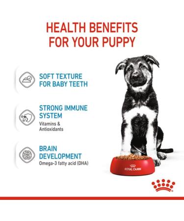 Royal Maxi Puppy Pocket Box 10x140gr 1400 g - Buy Online on GoSupps.com