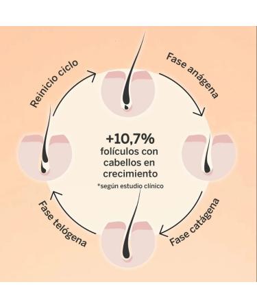  Segle Clinical Segle Clinical | 3x2 Pack Revival & Density Hair Serum | Thicker fuller stronger and healthier hair | 50 ml - Buy Online on GoSupps.com