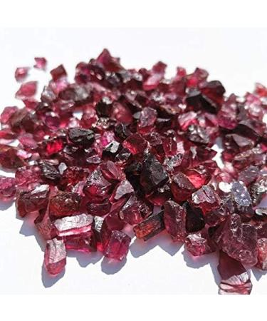 Beautiful Natural Rough Garnet Stones Raw gem Stone Specimen (Color : 100g) - Buy Online on GoSupps.com