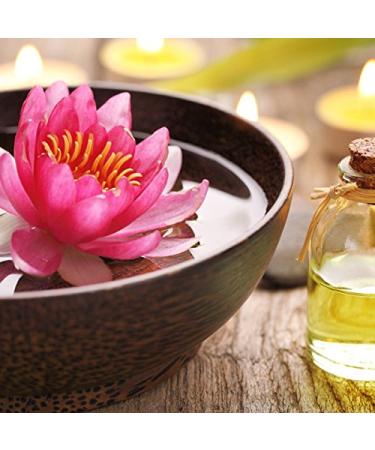 Vitafeel Almond Basic Oil 5-Pack (5 x 1000 ml) - Vegan GMO-Free Perfect for Skin & Hair Care Aromatherapy Massage Oils & Natural Cosmetics - Buy Online on GoSupps.com