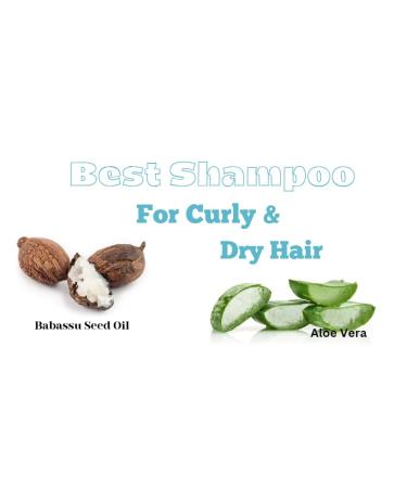 TIANA S CREATIONS Babasui MOI Moisturizing Shampoo - 8 Oz | Restore Moisture to Dry Damaged & Frizzy Curly Kinky Hair - International Shipping Available - Buy Online on GoSupps.com