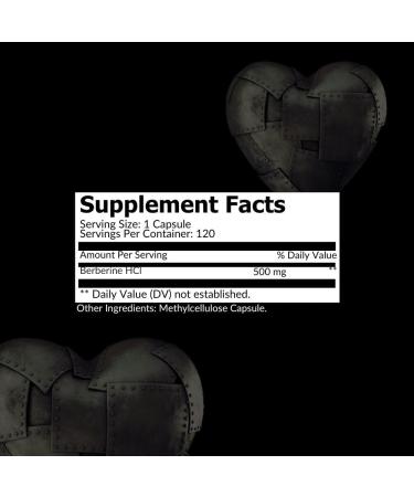 Intelligent Labs 2-in-1 Bundle of MagEnhance Magnesium Supplement (Magnesium L-Threonate Complex with Mg Glycinate and Mg Taurate) and Max Strength Berberine 500MG Capsules - Buy Online on GoSupps.com