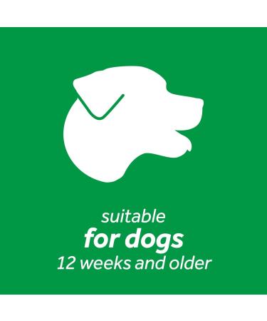 Tropiclean Fresh Breath by - Oral Care Gel for Dogs - Clean Teeth No Brushing - Helps Remove Plaque & Tartar - Berry Fresh - 59 ml 59 ml (Pack of 1) Berry Fresh - Buy Online on GoSupps.com