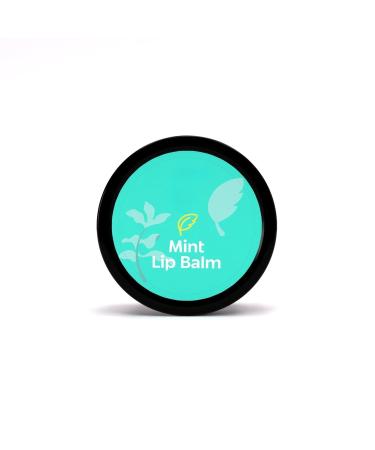 Naturals Mint Lip Balm Cucumber + Kokum Butter Refreshing and Hydrating For Men & Women 8 gm Vegan No Chemicals. - Buy Online on GoSupps.com