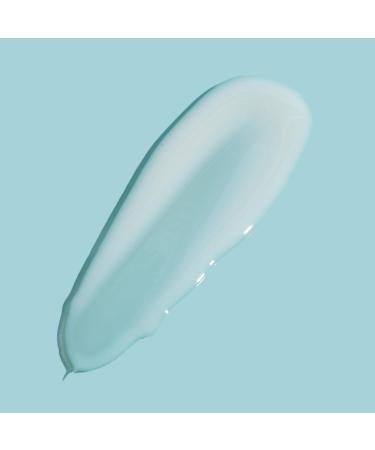 Seaweed Bath Co. Hydrating Clear Mineral Lip Shine SPF 20 - Zinc Oxide Lip Balm 6 Pack for Moisturizing Dry & Chapped Lips - Buy Online on GoSupps.com